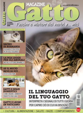 Cover of Gatto Magazine