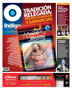Cover of Reporte Indigo Nacional