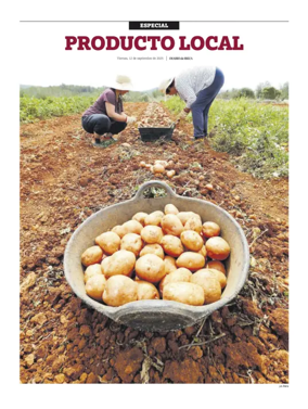 Cover of Suplemento 1