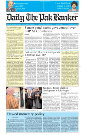 Cover of The Pak Banker