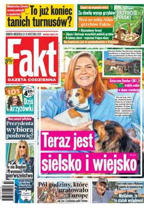 Cover of Fakt