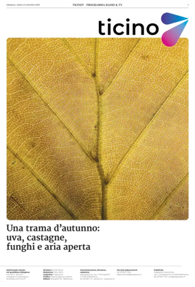 Cover of Ticino 7