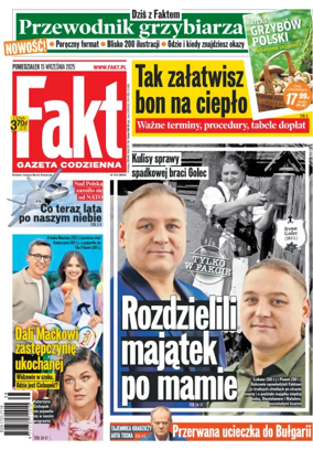 Cover of Fakt