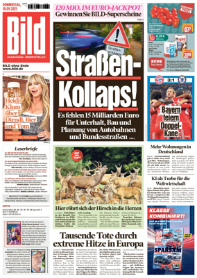 Cover of Bild
