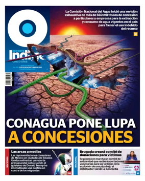 Cover of Reporte Indigo Nacional