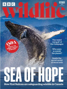 Cover of BBC Wildlife Magazine