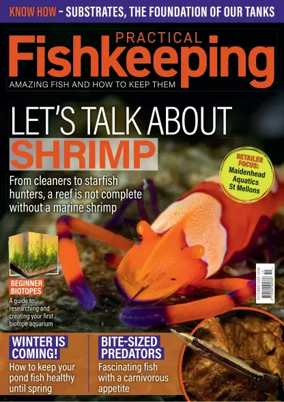 Cover of Practical Fishkeeping