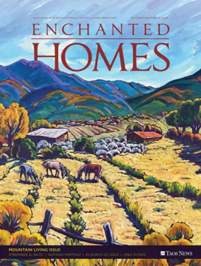 Cover of Enchanted Homes