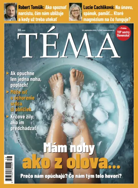 Cover of Téma