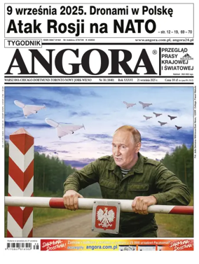 Cover of Angora