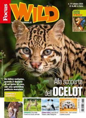 Cover of Focus Wild