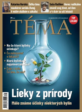 Cover of Téma