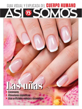 Cover of Asi Somos