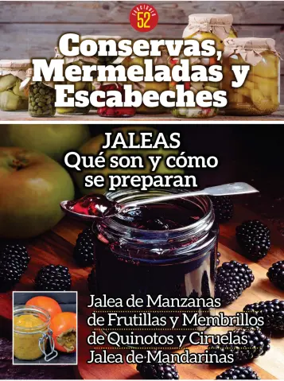 Cover of Conservas mermeladas y escabeches