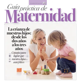 Cover of Guia Practica de Maternidad