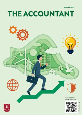 Cover of The Accountant