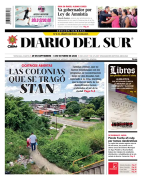 Cover of Diario del Sur