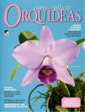 Cover of Como Cultivar Orquídeas