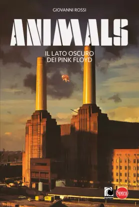 Cover of Vinile Monografie