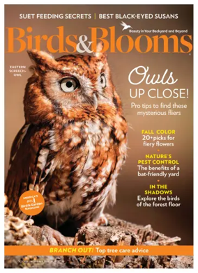 Cover of Birds and Blooms