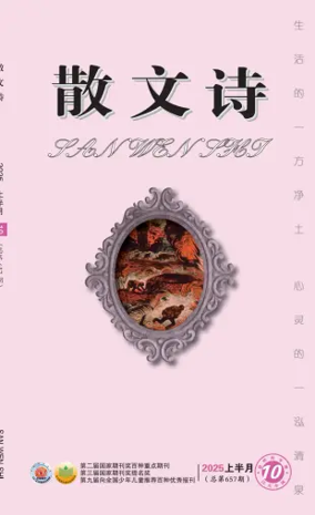 Cover of San Wen Shi