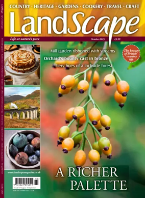 Cover of Landscape (UK)