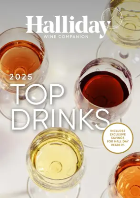 Cover of Halliday - Supplement