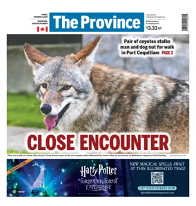 Cover of The Province