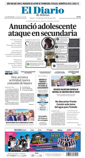 Cover of El Diario de Delicias