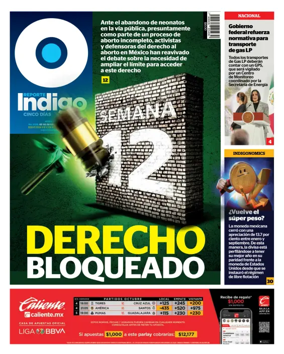 Cover of Reporte Indigo Nacional