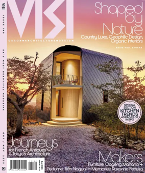 Cover of VISI