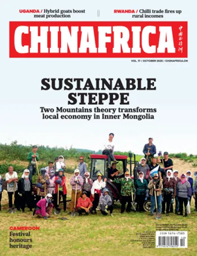 Cover of ChinAfrica