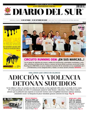 Cover of Diario del Sur