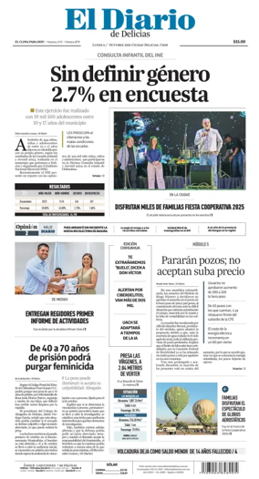 Cover of El Diario de Delicias