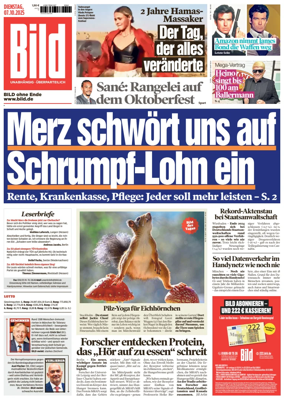 Cover of Bild