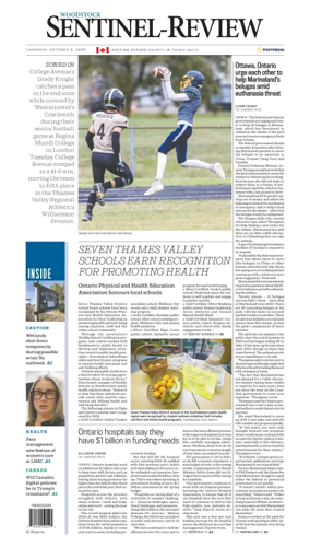 Cover of Sentinel-Review (Woodstock)