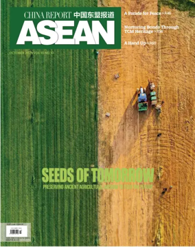 Cover of China-Asean Report