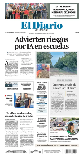 Cover of El Diario de Delicias