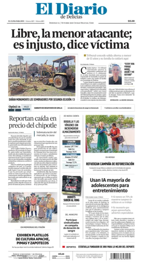 Cover of El Diario de Delicias