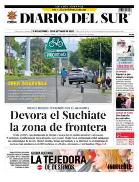 Cover of Diario del Sur