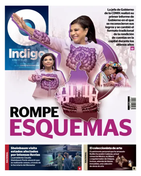 Cover of Reporte Indigo Nacional
