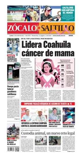 Cover of Zócalo Saltillo