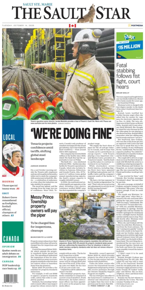 Cover of The Sault Star