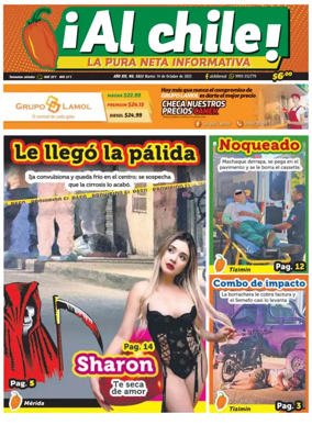 Cover of Al Chile