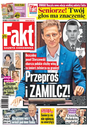 Cover of Fakt