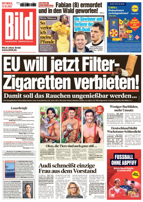 Cover of Bild