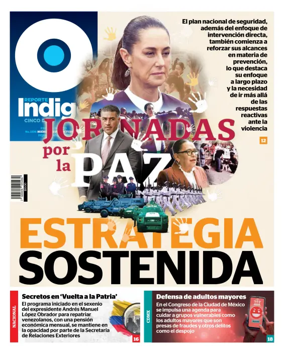 Cover of Reporte Indigo Nacional