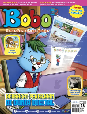 Cover of Bobo