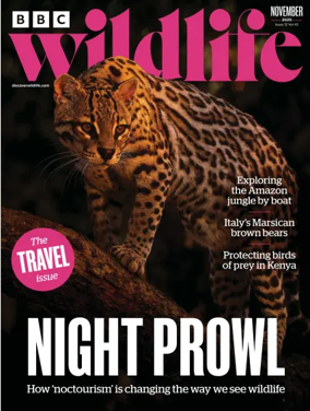 Cover of BBC Wildlife Magazine