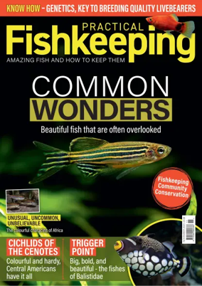 Cover of Practical Fishkeeping